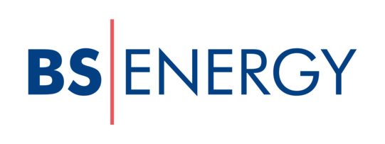 Logo Braunschweiger Versorgungs-AG & Co. KG