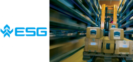 ESG Elektroniksystem- und Logistik-GmbH Logo ESG und Pakete zwischen Regalen